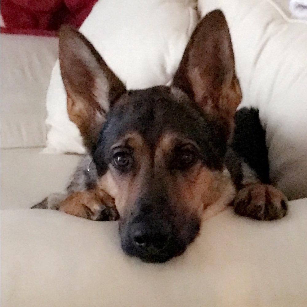 Meet your Posher, Edith